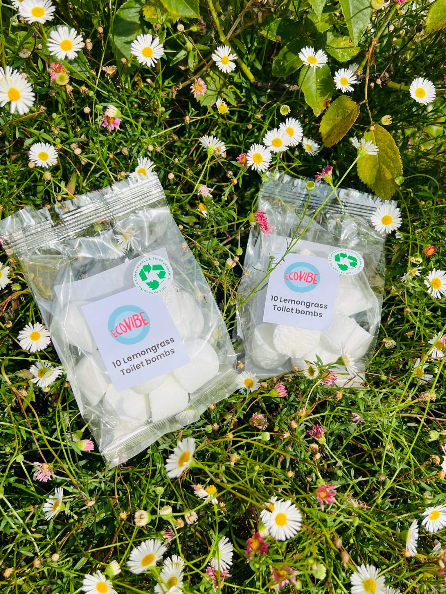 Bombe WC Eco-Friendly