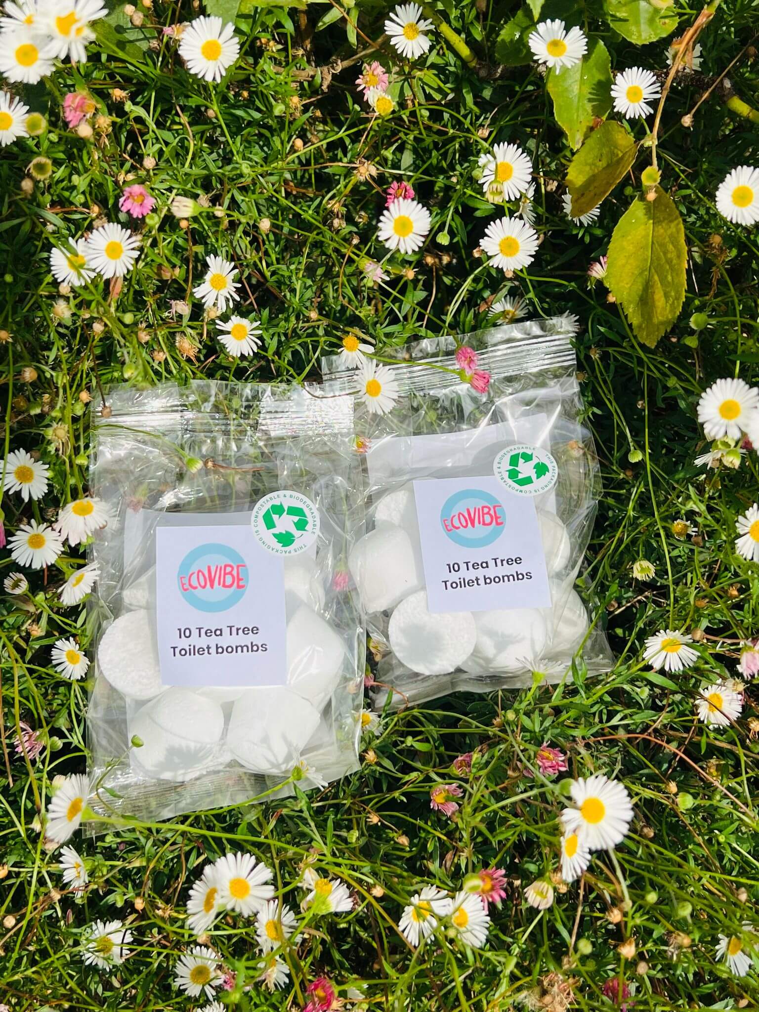 Bombe WC Eco-Friendly